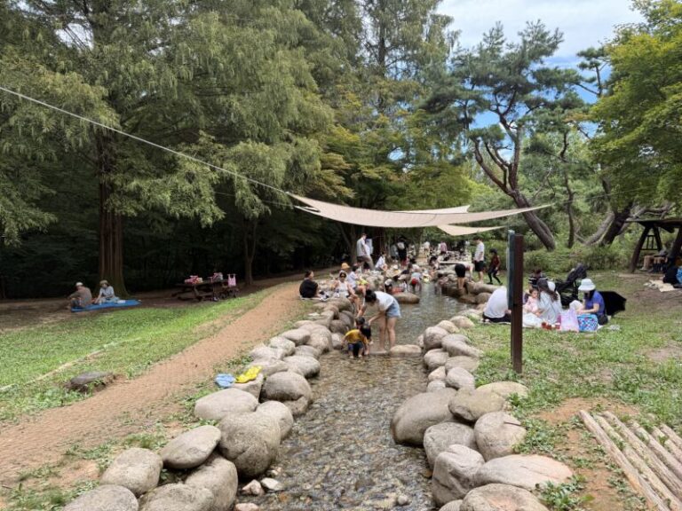 인천대공원 개울숲 무료 물놀이장 전체 전경