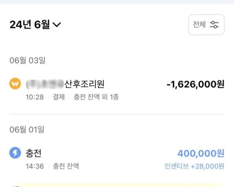 온누리상품권 지역화폐 비교 임신 기간 동안 충전해 산후조리원 162만원 전액 결제한 내역
